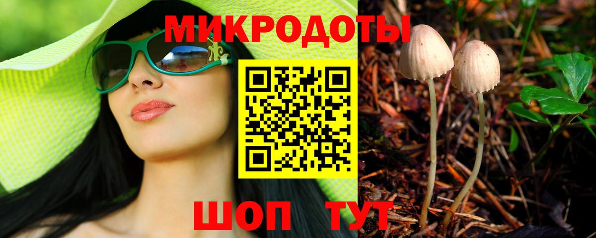 Королёв  наркошоп  Вход с VPN  Галлюциногенные грибы Psilocybe 